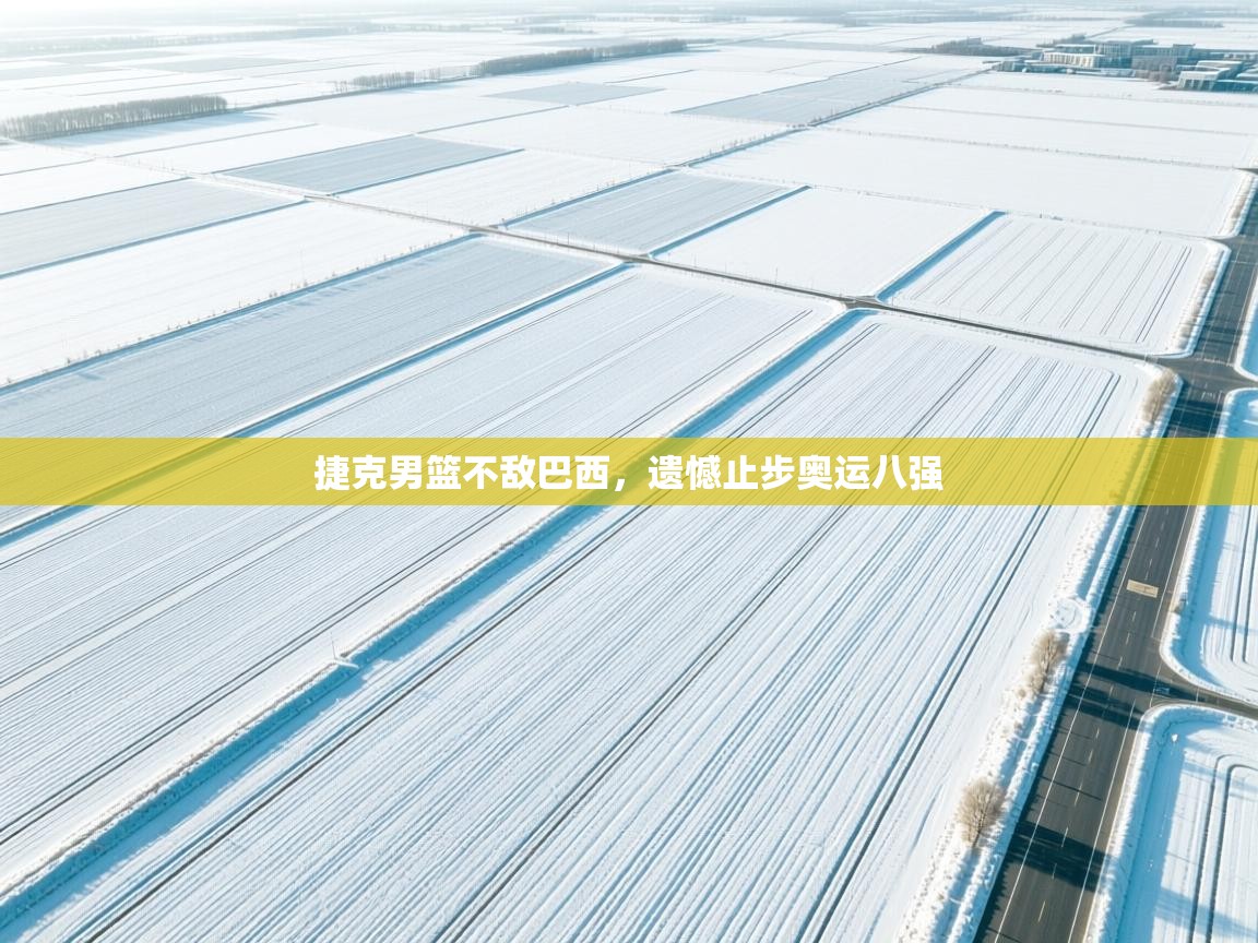 捷克男篮不敌巴西，遗憾止步奥运八强  第1张