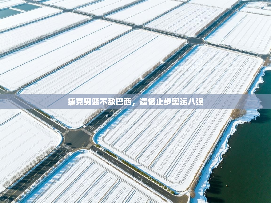 捷克男篮不敌巴西，遗憾止步奥运八强  第2张